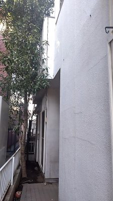 1741822287913.jpg
